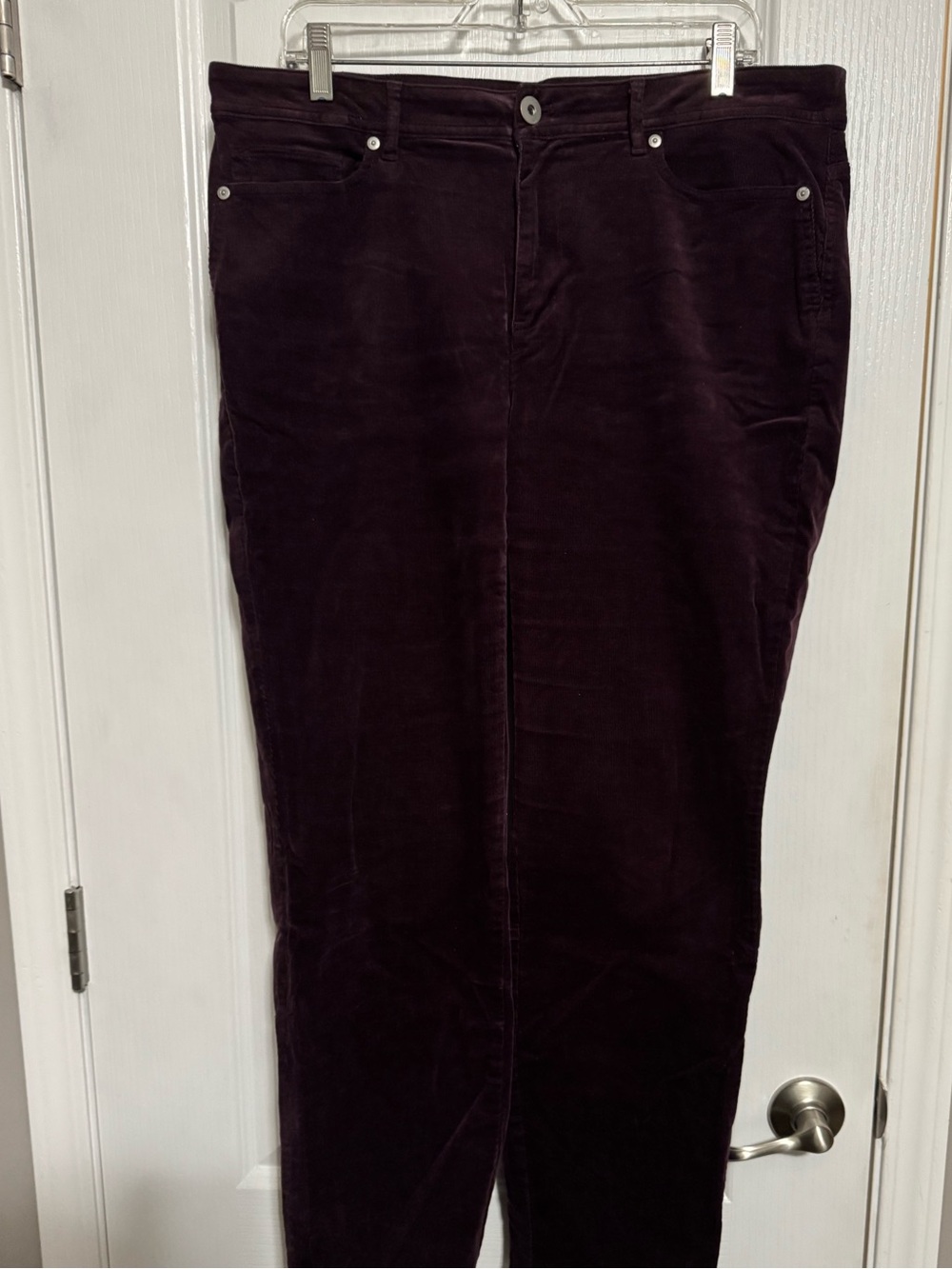 Corduroy Pants in Deep Plum - Classic Straight Fit
